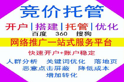 行业领先企业的SEM竞价推广策略揭秘